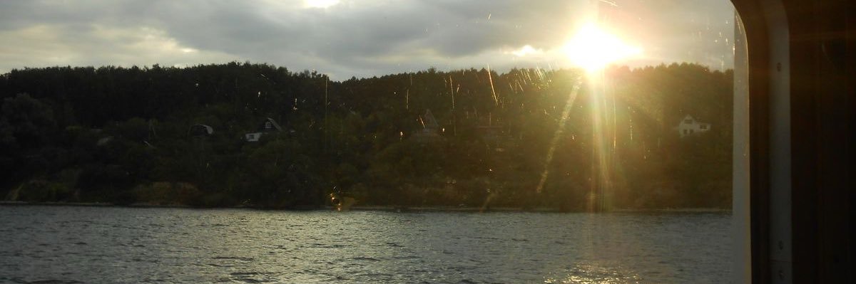 pure2lifee's profile banner image