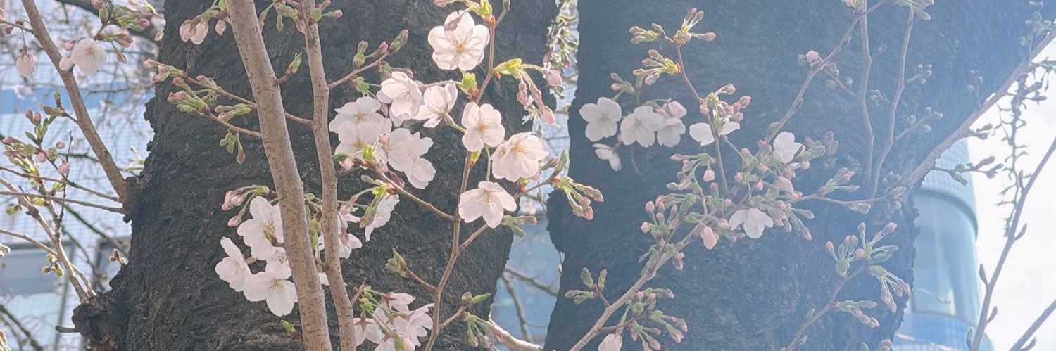 hirofu_3's profile banner image