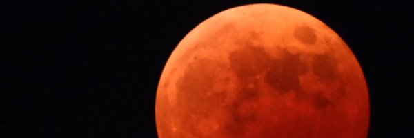 takotakotako1 Profile Banner