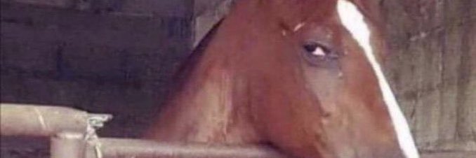 Relax - this is a simulation 💻🌍 banner