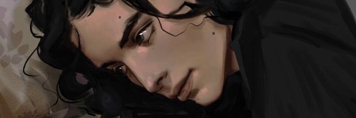 taewolfstar's profile banner image