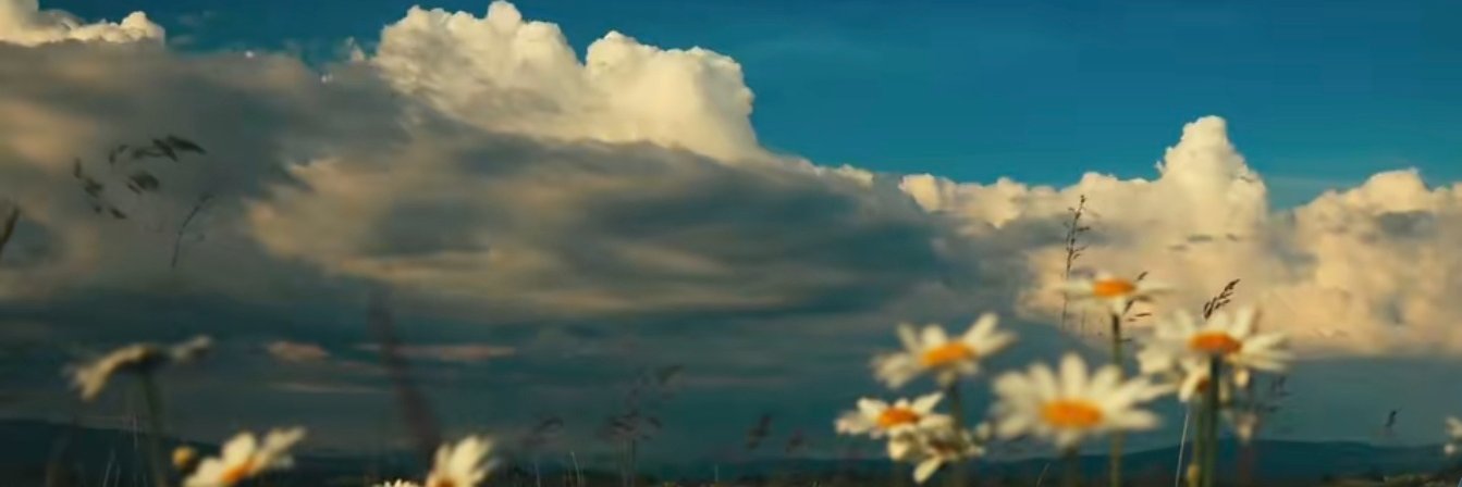 Kuizi2_29's profile banner image