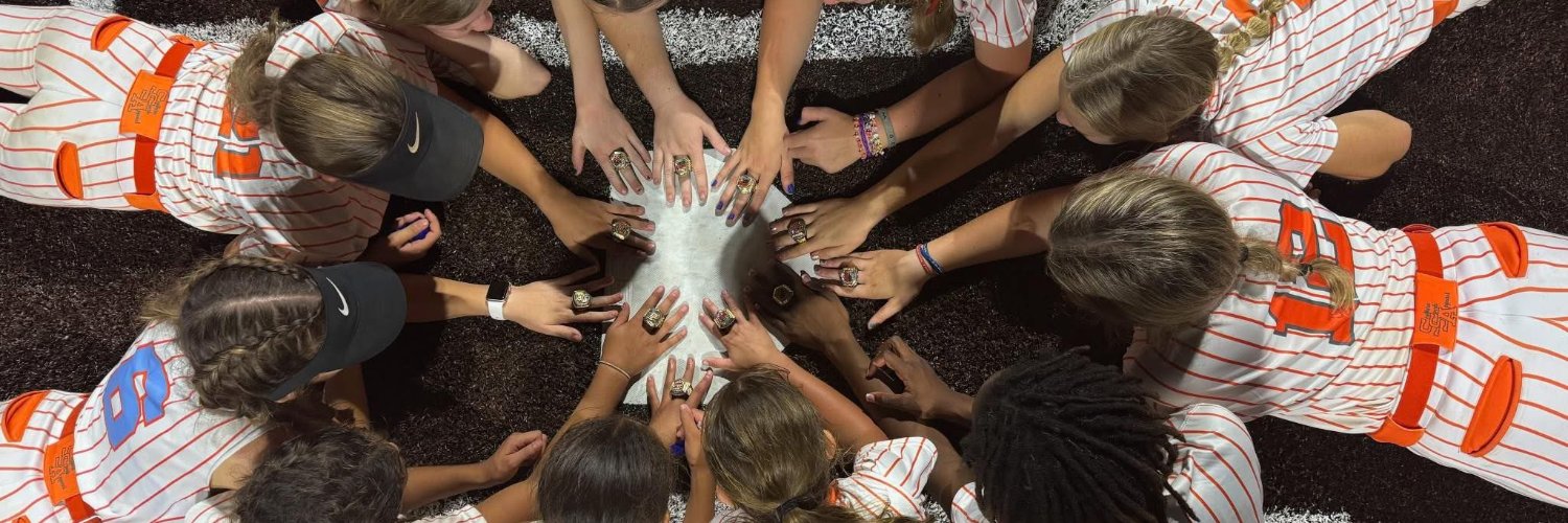 256FASTPITCH's profile banner image