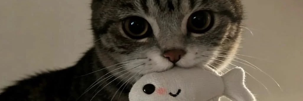 BeauDeChanel's profile banner image
