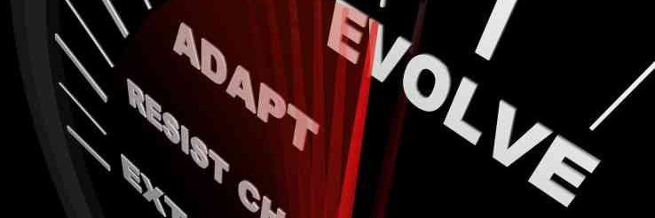 Nicolas Marchandise banner