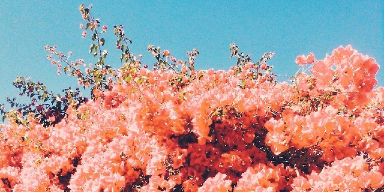 emmalrogerson's profile banner image