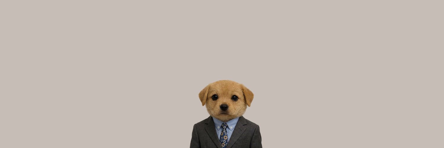 CEO banner