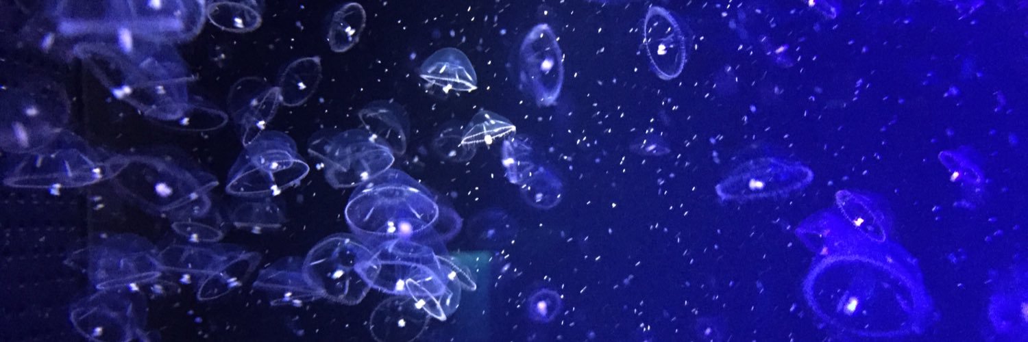aaamo13's profile banner image