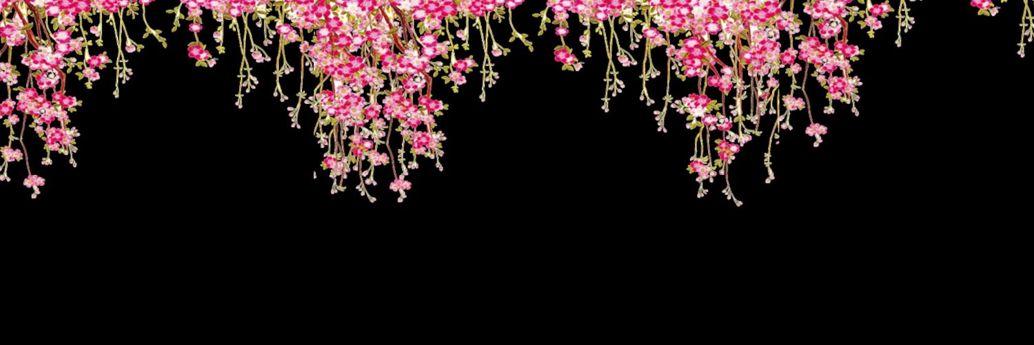 𝓒𝓾𝓻𝓻𝓮𝓷 𝓒𝓱𝓪𝓷 banner