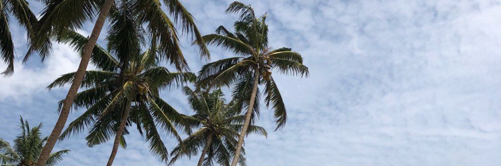 Darren W Lees banner