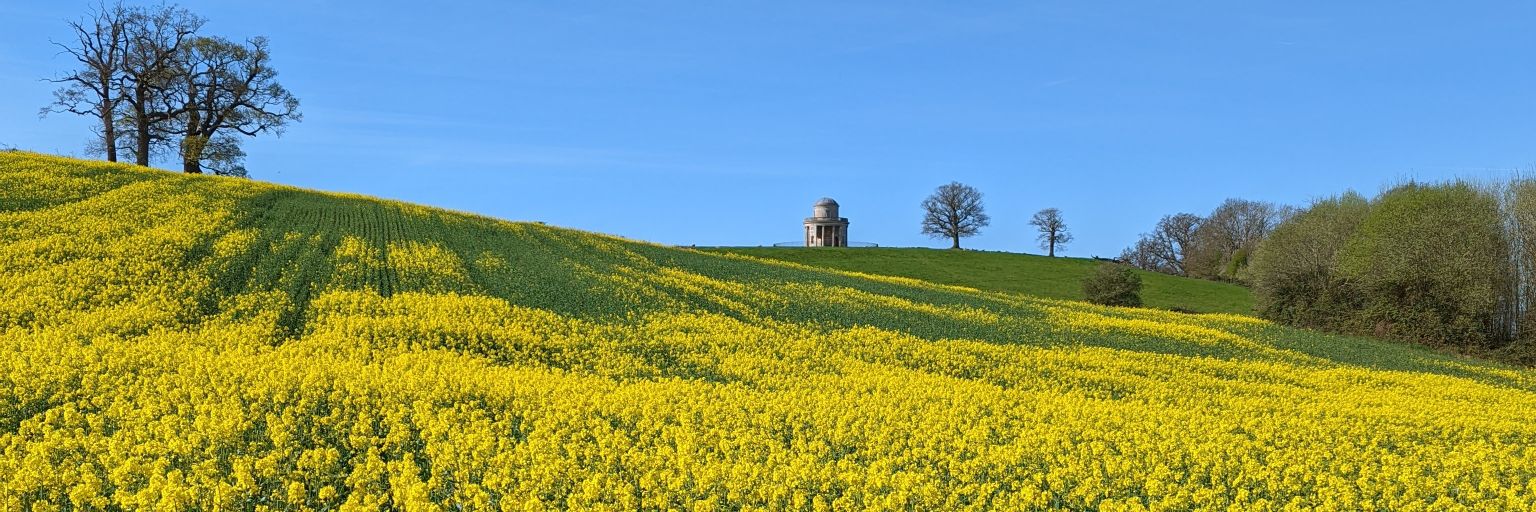 kmelling's profile banner image