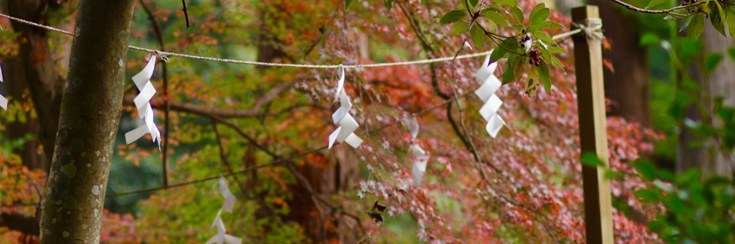 nhu_hoang's profile banner image