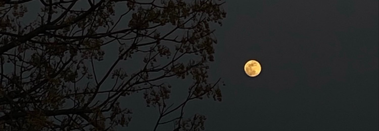 asliemnm's profile banner image