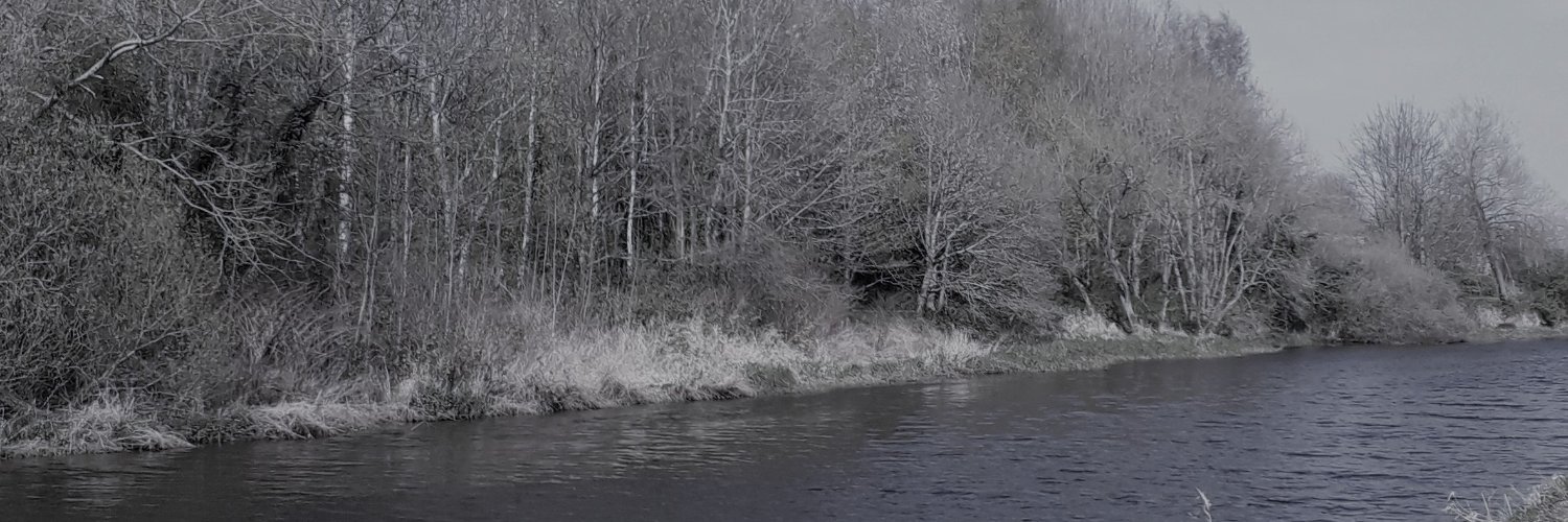 Ravensliver's profile banner image
