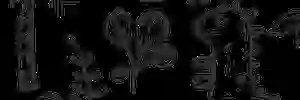 ichiovertop5's profile banner image