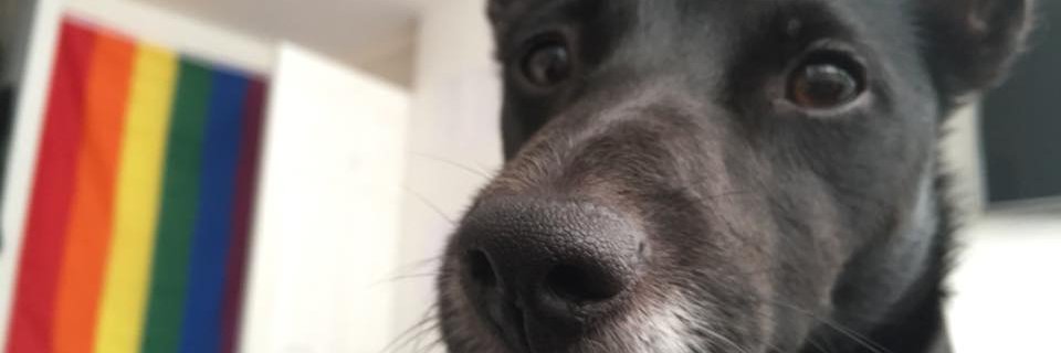 NicPresley's profile banner image