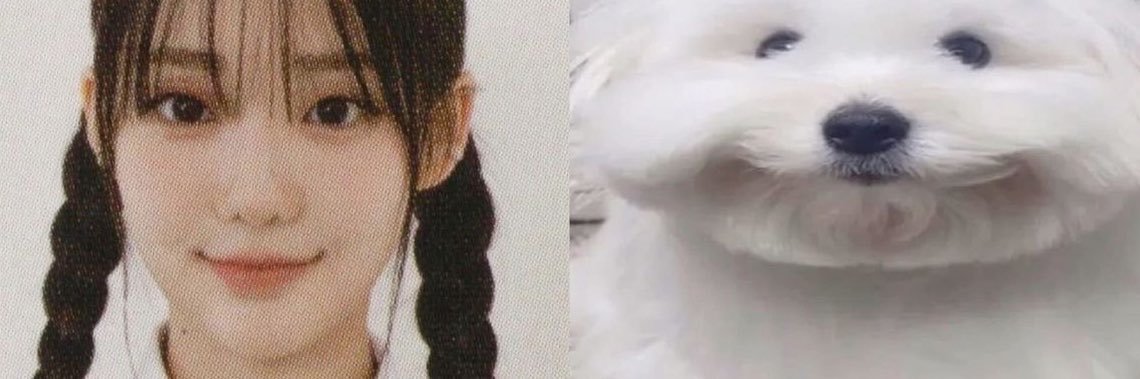 nosleevees's profile banner image