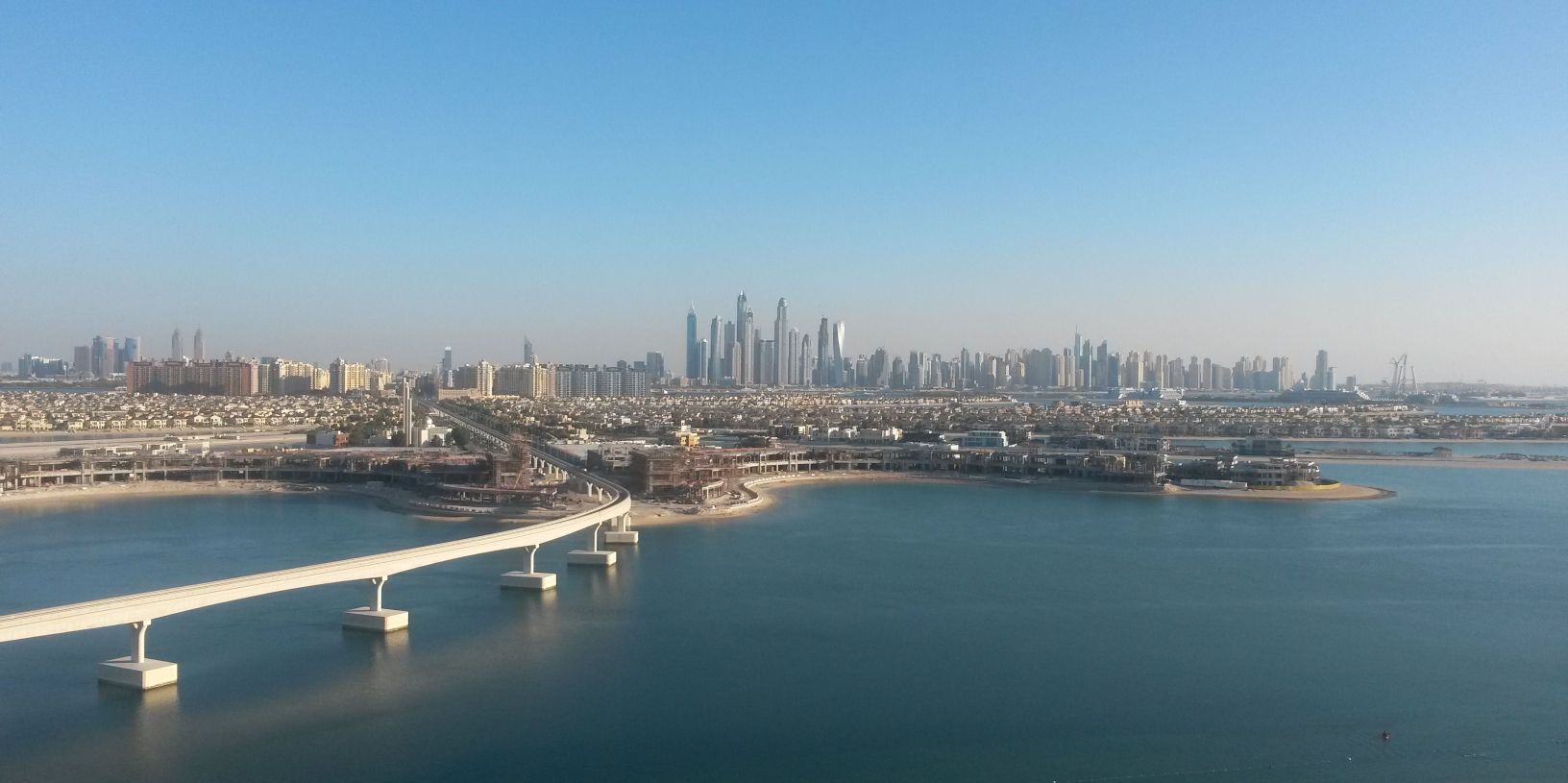 Arlene McNelis banner