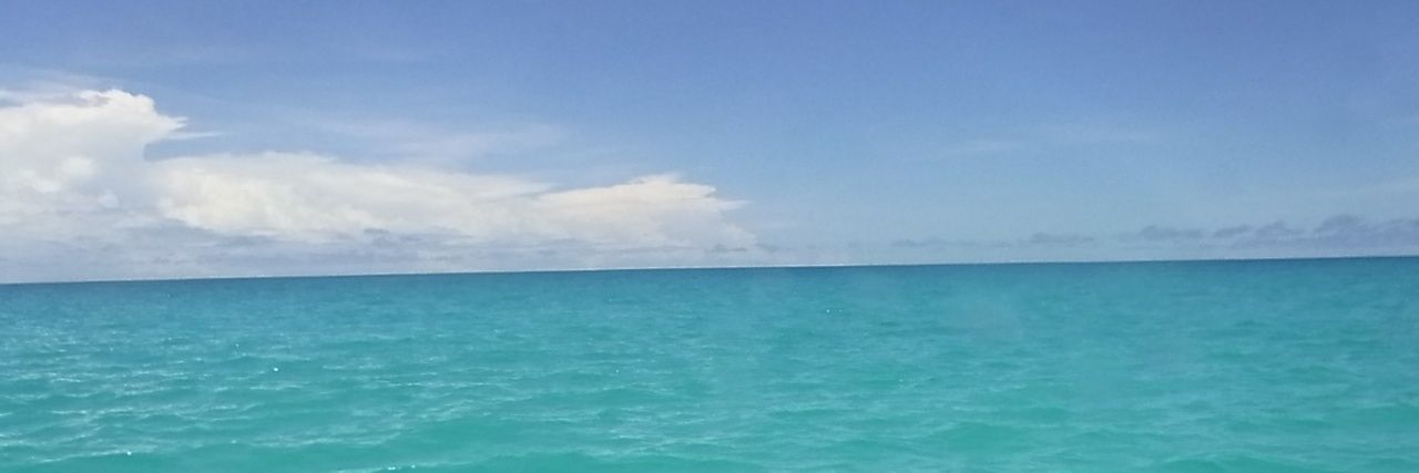 ぎろ banner