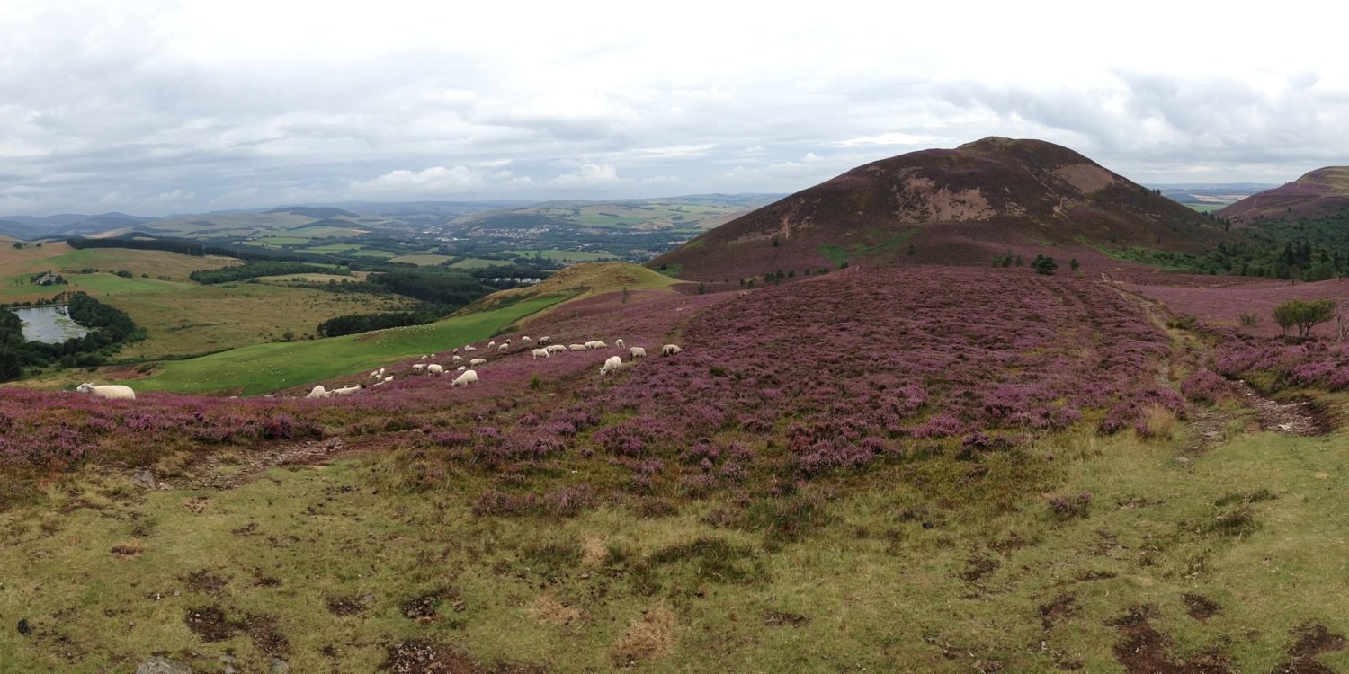 Michael Moore banner