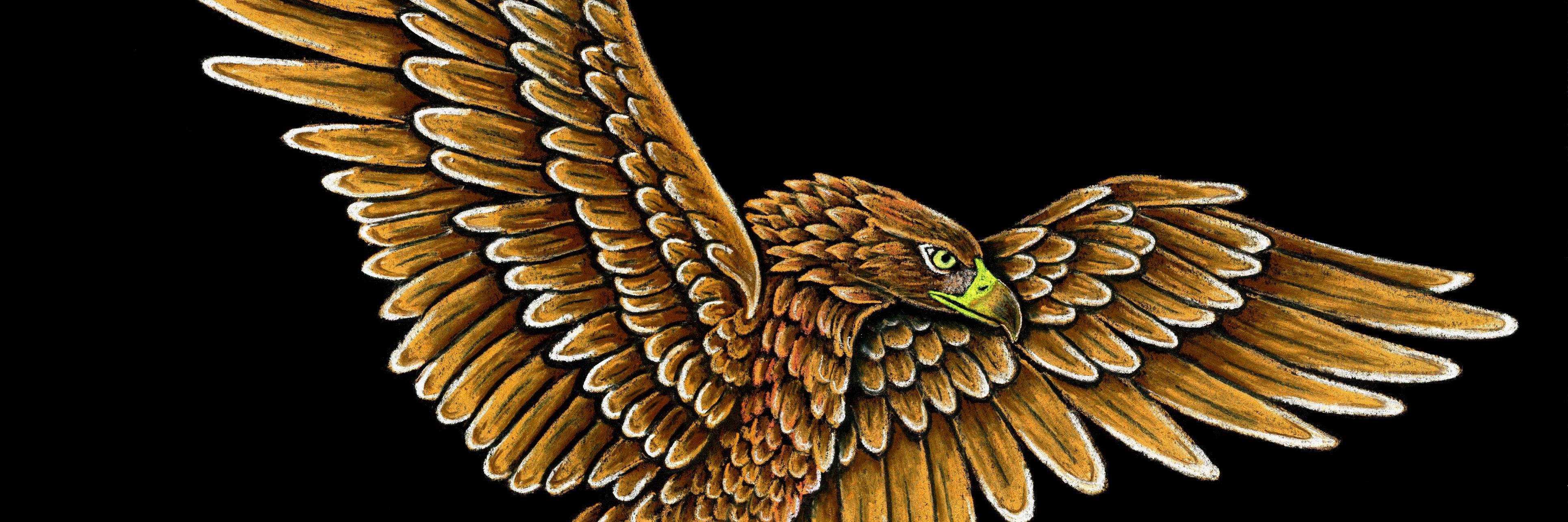 SkyValleyFood's profile banner image
