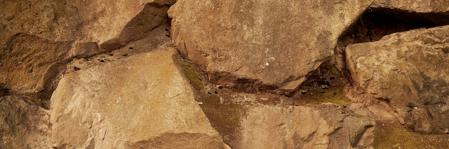 Aleksandr Kichev banner