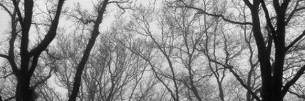 000plss's profile banner image