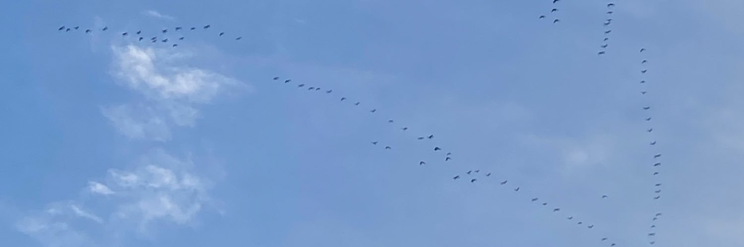 Vic_Bird's profile banner image
