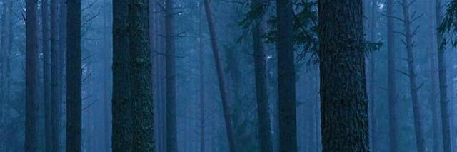 MejaUsma's profile banner image