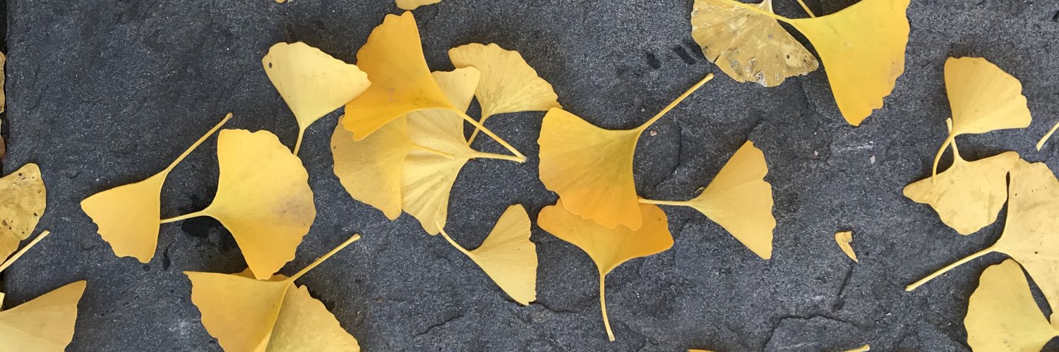 JamesSciales's profile banner image