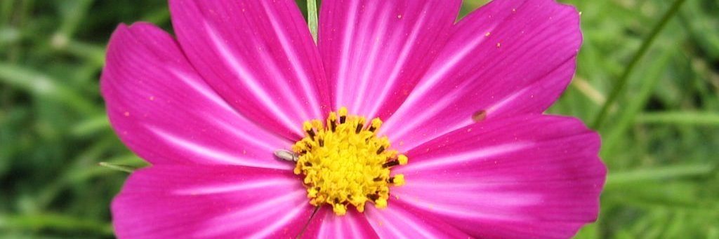 GirlsOfHeight's profile banner image
