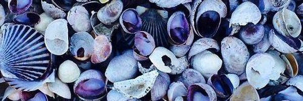 SOLGM Profile Banner