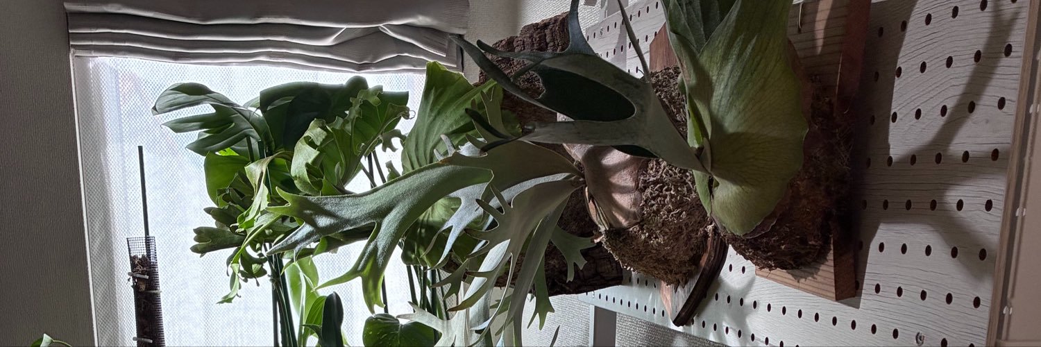 AKj7dp's profile banner image