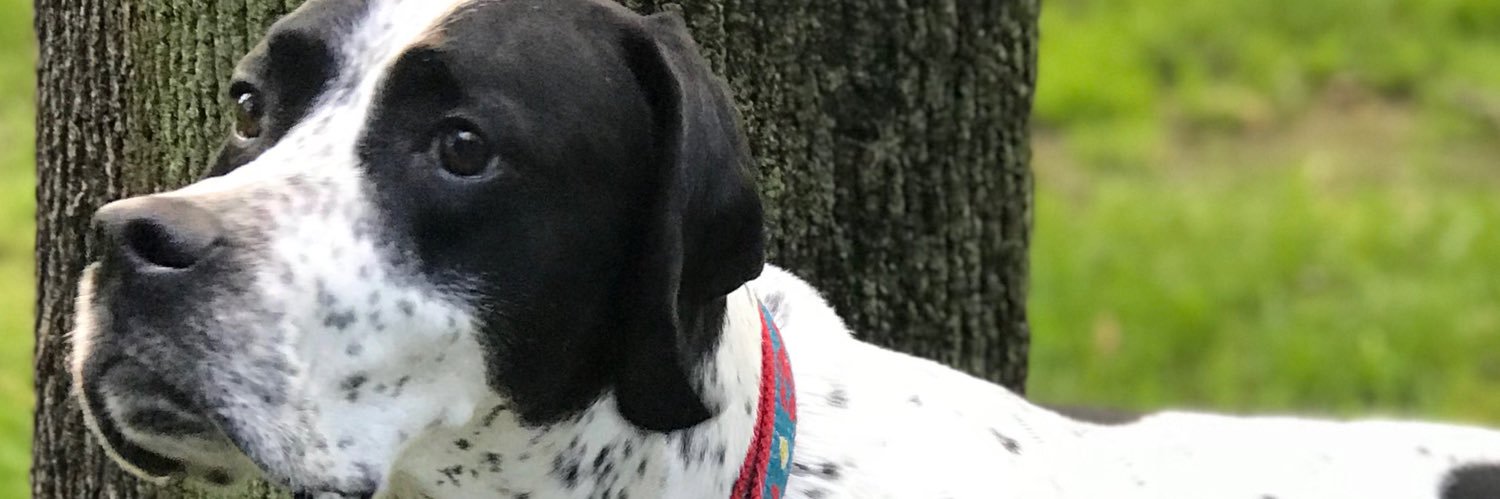 Matthew K. Hoadley banner