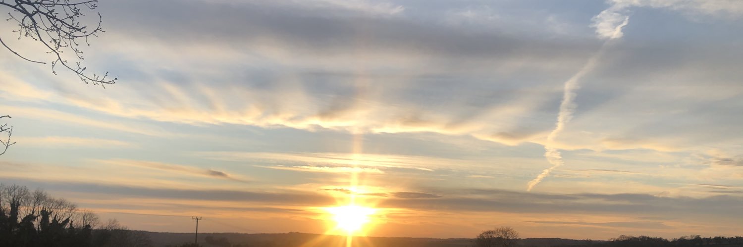 MollySchofe's profile banner image