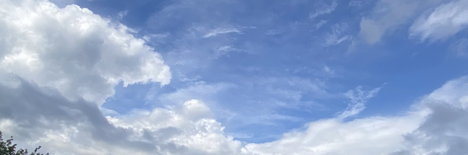 _daria666's profile banner image