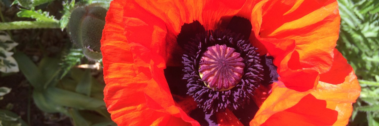 Philip Barnett banner