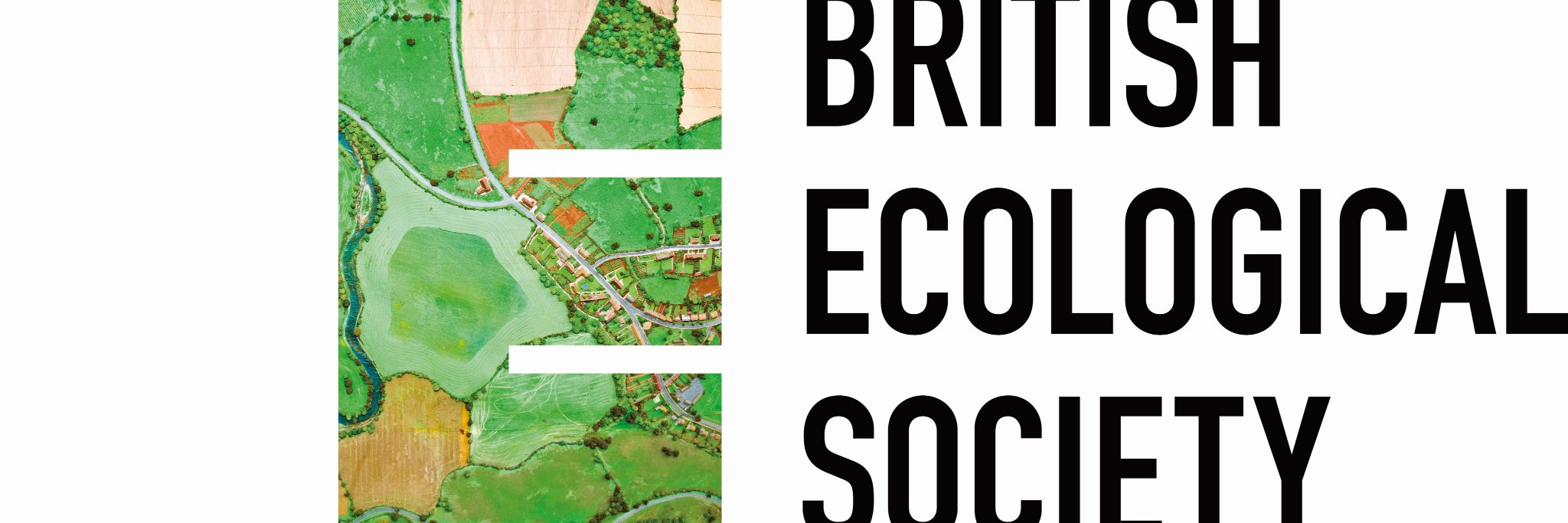 FIELDWORK_NTF's profile banner image
