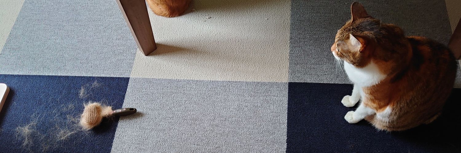 a_house_cat_'s profile banner image