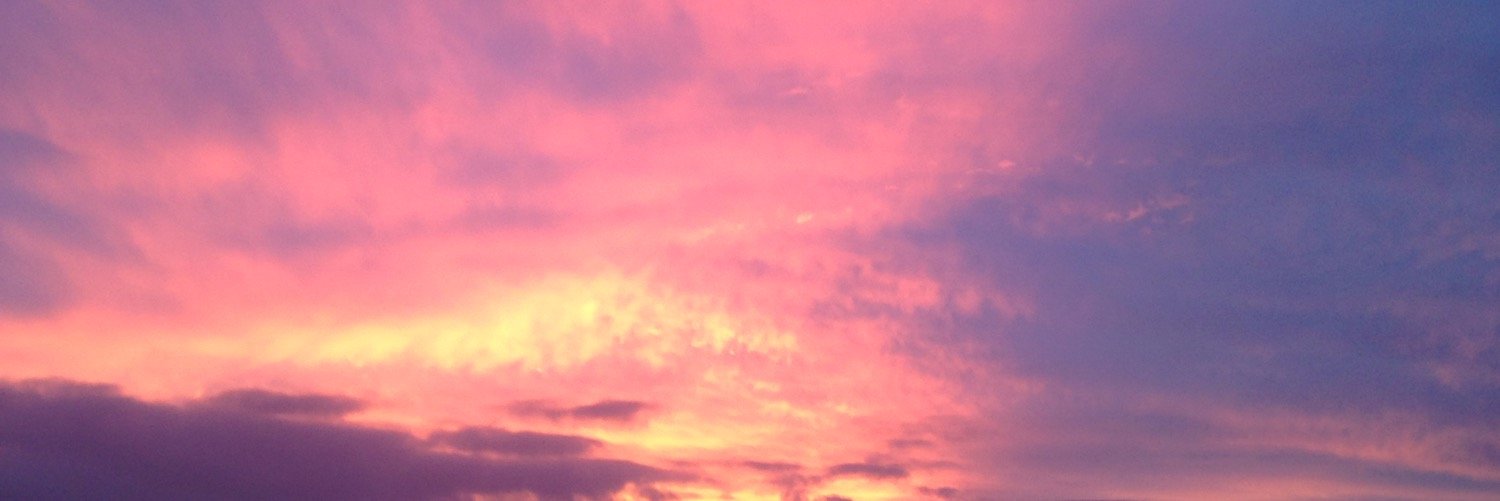 Sarah_hammy's profile banner image