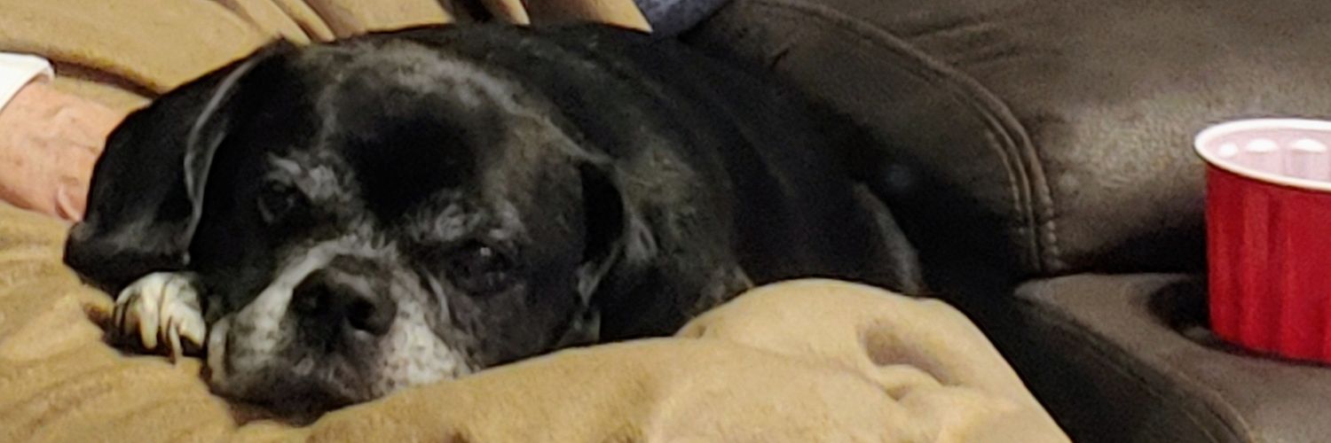 I'm Doby banner