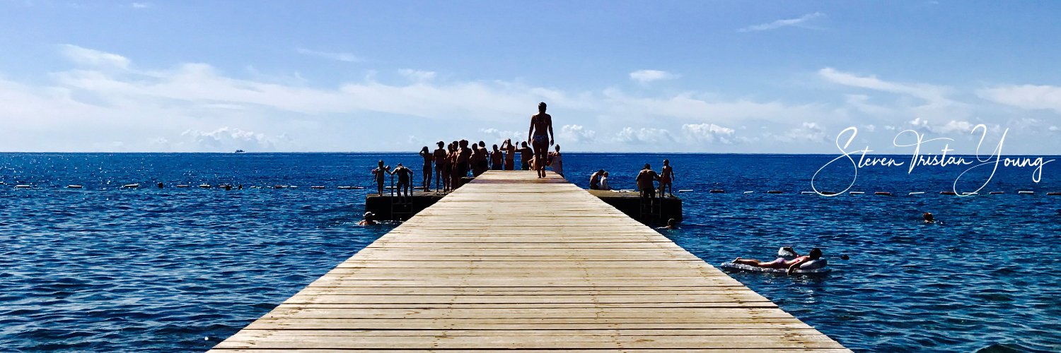 Steven Tristan Young banner