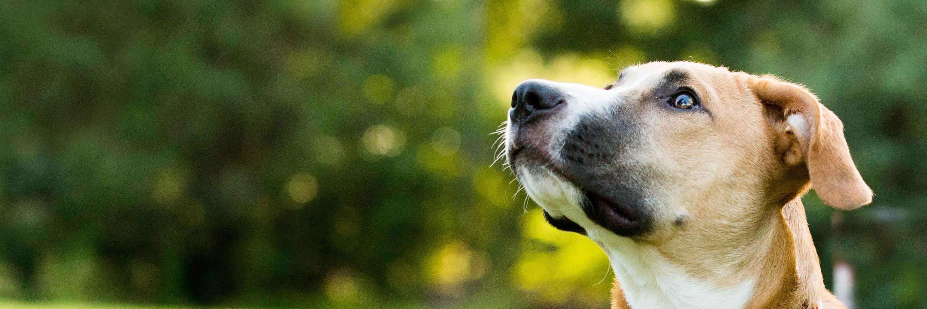 msowry's profile banner image