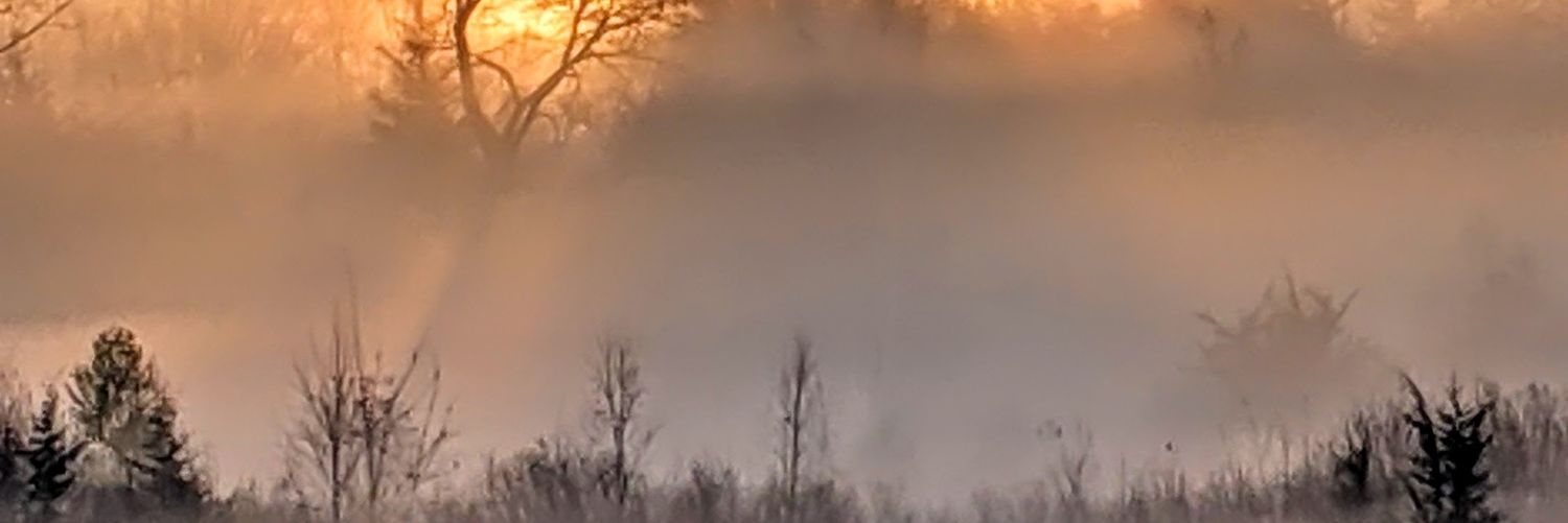 Sonavich's profile banner image