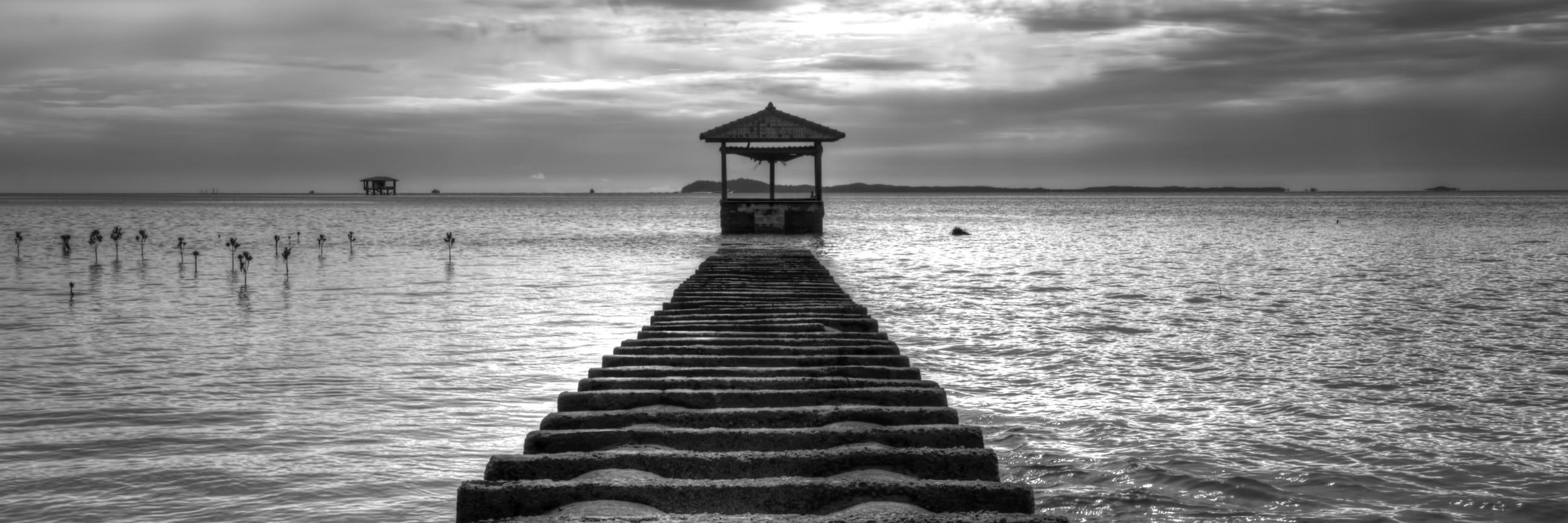 Expert Wealth banner