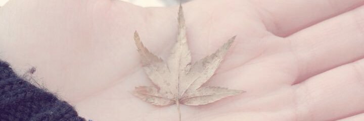 mjminjee's profile banner image