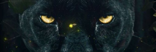 THASHNSNTRK's profile banner image