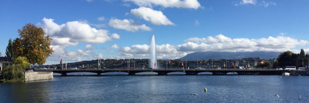 GENeva Environment Network's banner