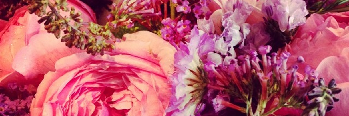 Rachel Jane Patrick banner