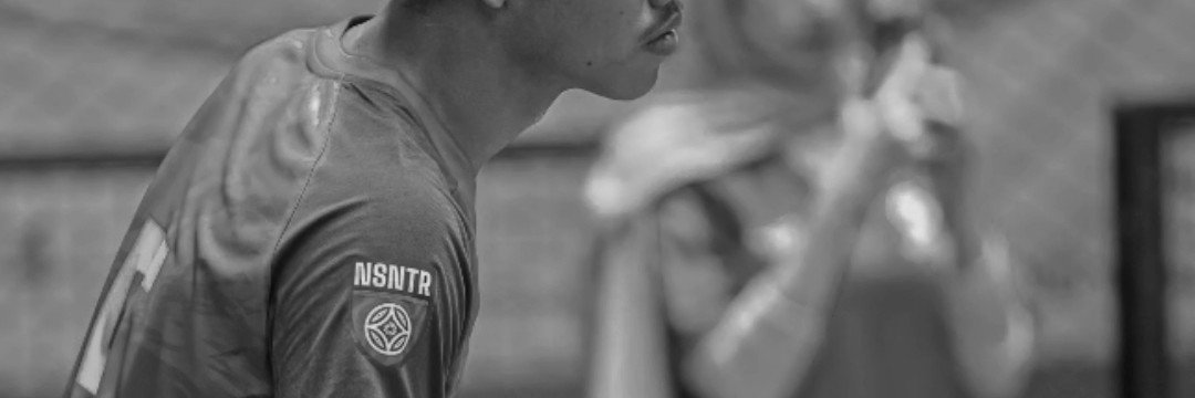 piinotter's profile banner image